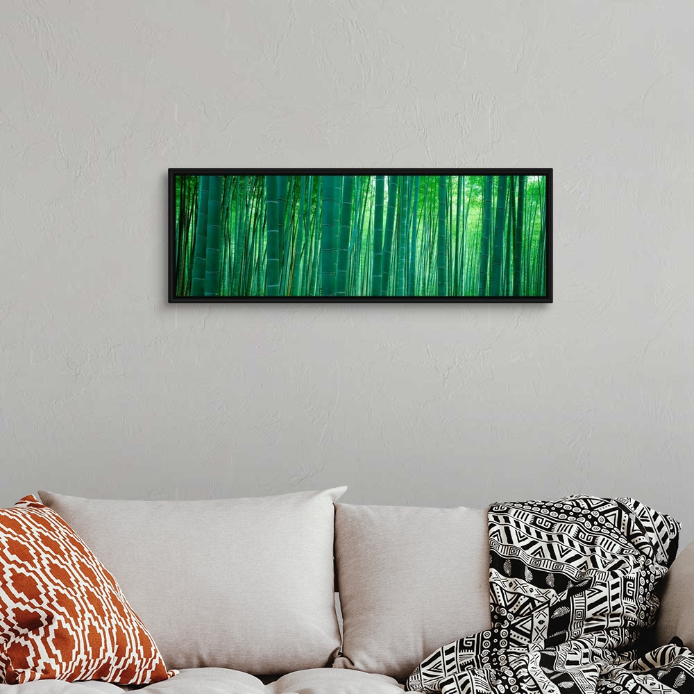 A bohemian room featuring Panoramic wall art of vertical stalks of bamboo in a shaded forest.