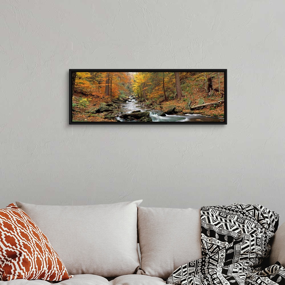 A bohemian room featuring This panoramic wall hanging is a photograph that shows the view up a boulder filled stream in an ...