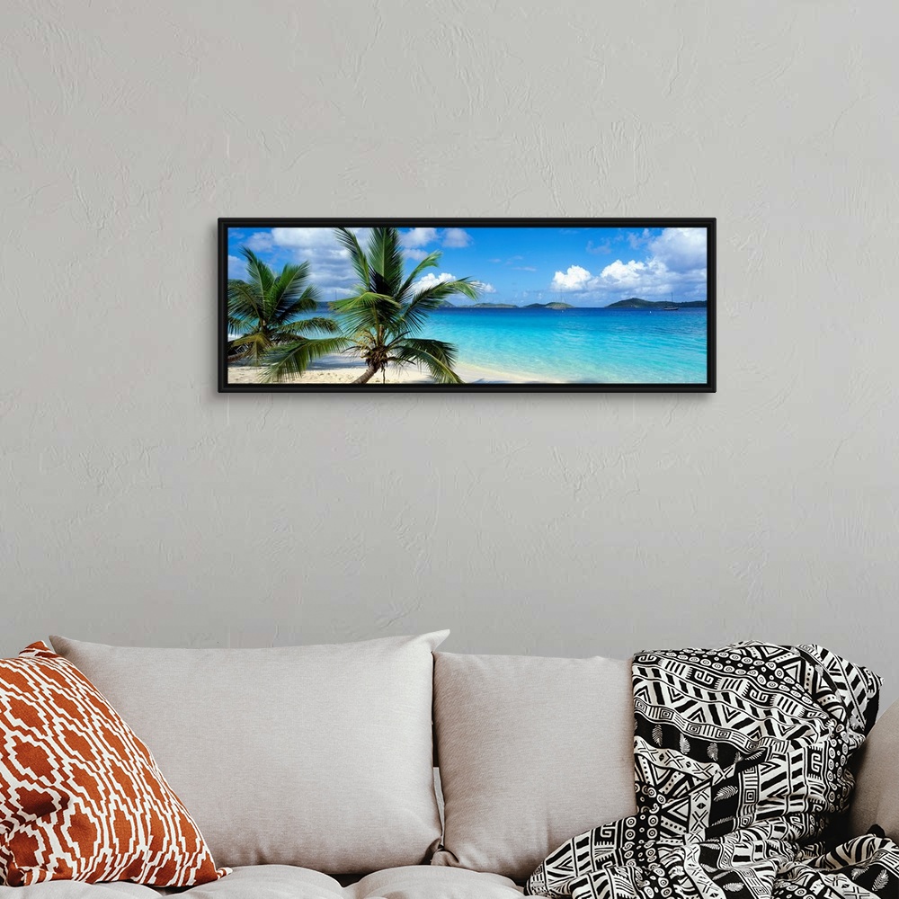 A bohemian room featuring A panoramic photograph of a couple palm trees sitting on the Salomon Beach in the Virgin Islands....