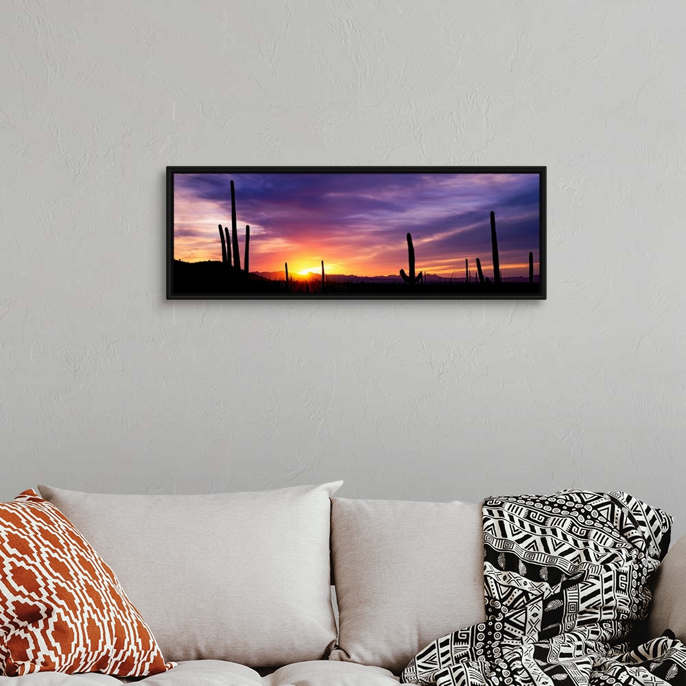A bohemian room featuring Panoramic photograph shows a bare wilderness filled with the silhouettes of scattered cactus plan...