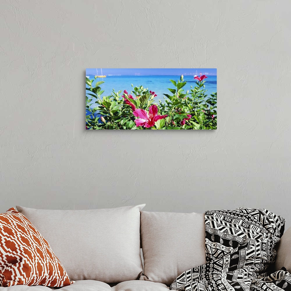 A bohemian room featuring This horizontal wall art is a landscape photograph of pink flowers growing near the shore of a tr...