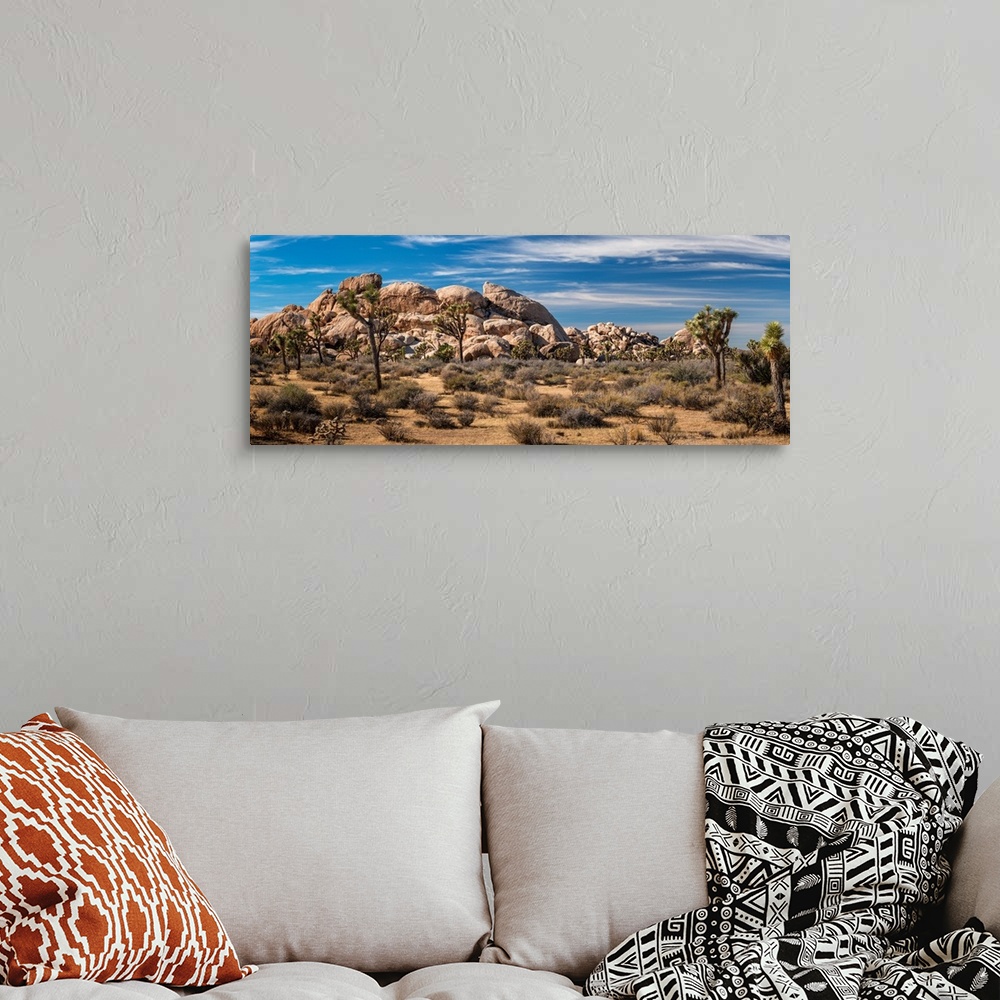 A bohemian room featuring Joshua trees and rocks on a landscape, Joshua Tree National Park, California, USA