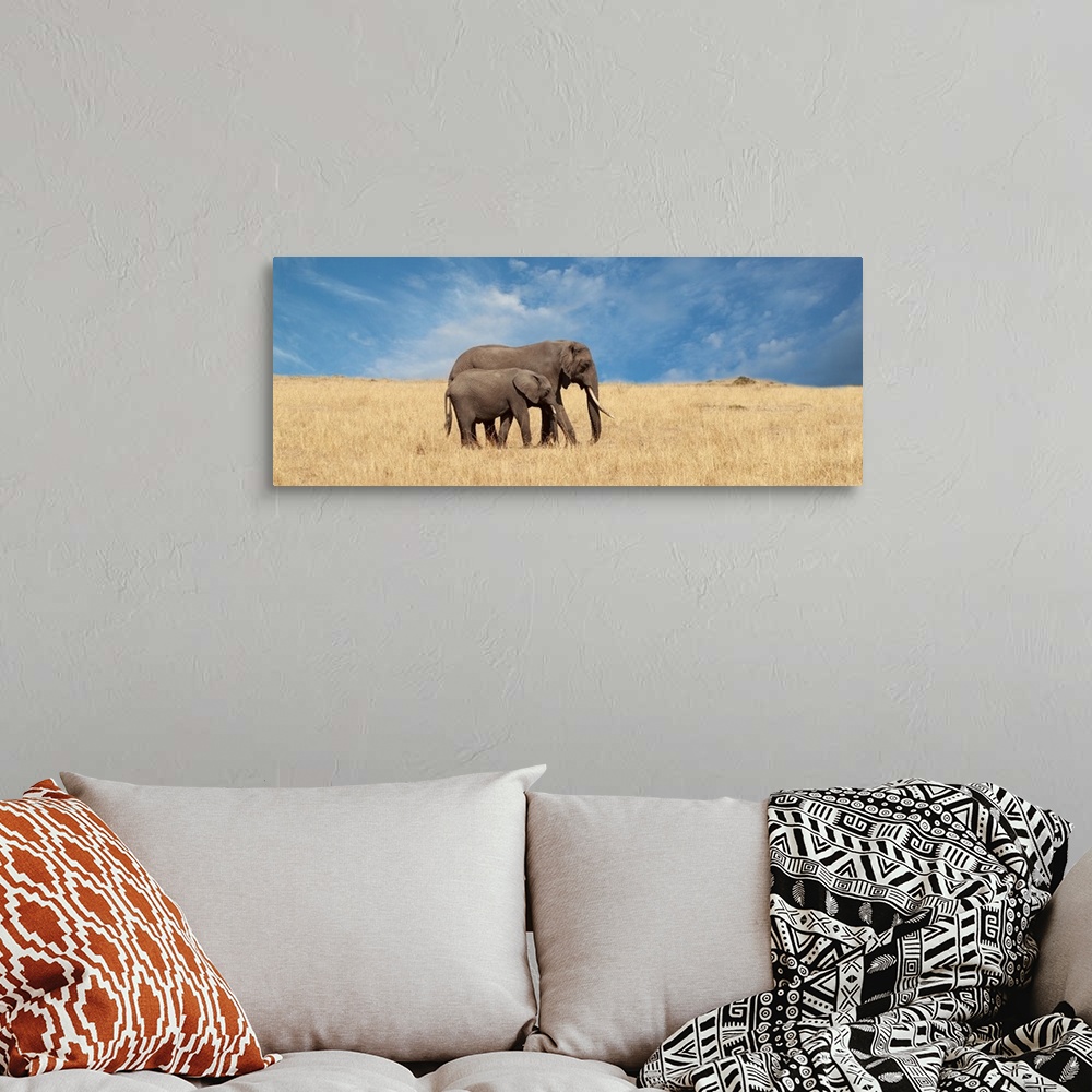 A bohemian room featuring A panoramic photograph of an elephant and calf walking in a grassy plain.
