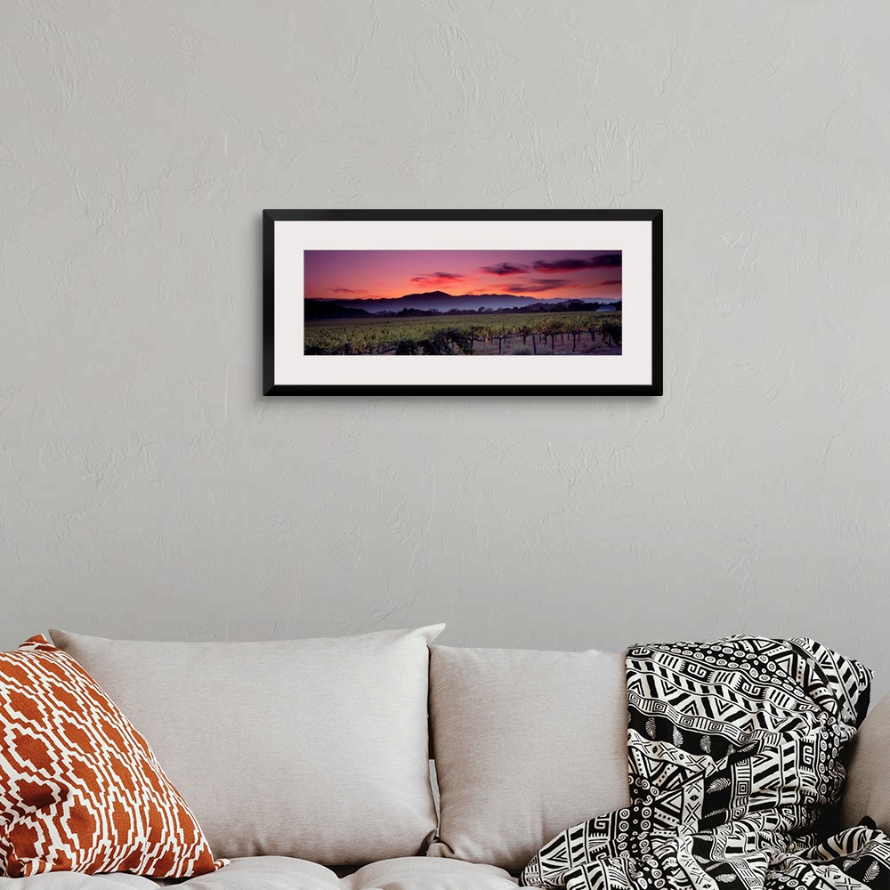 A bohemian room featuring Panoramic photograph of a vineyard with mountains and a sunset in the background.