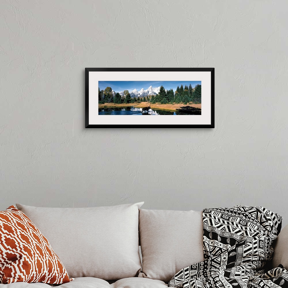 A bohemian room featuring A panoramic canvas of a moose wadding through a pond in Wyoming with the famous peaks of the Teto...