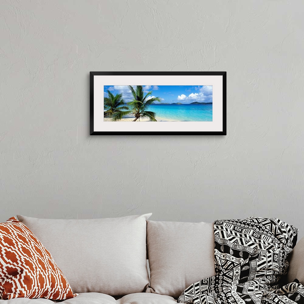 A bohemian room featuring A panoramic photograph of a couple palm trees sitting on the Salomon Beach in the Virgin Islands....