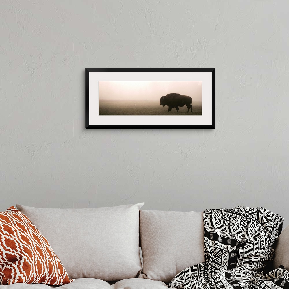 A bohemian room featuring A bison in a misty field at Yellowstone National Park, Wyoming.