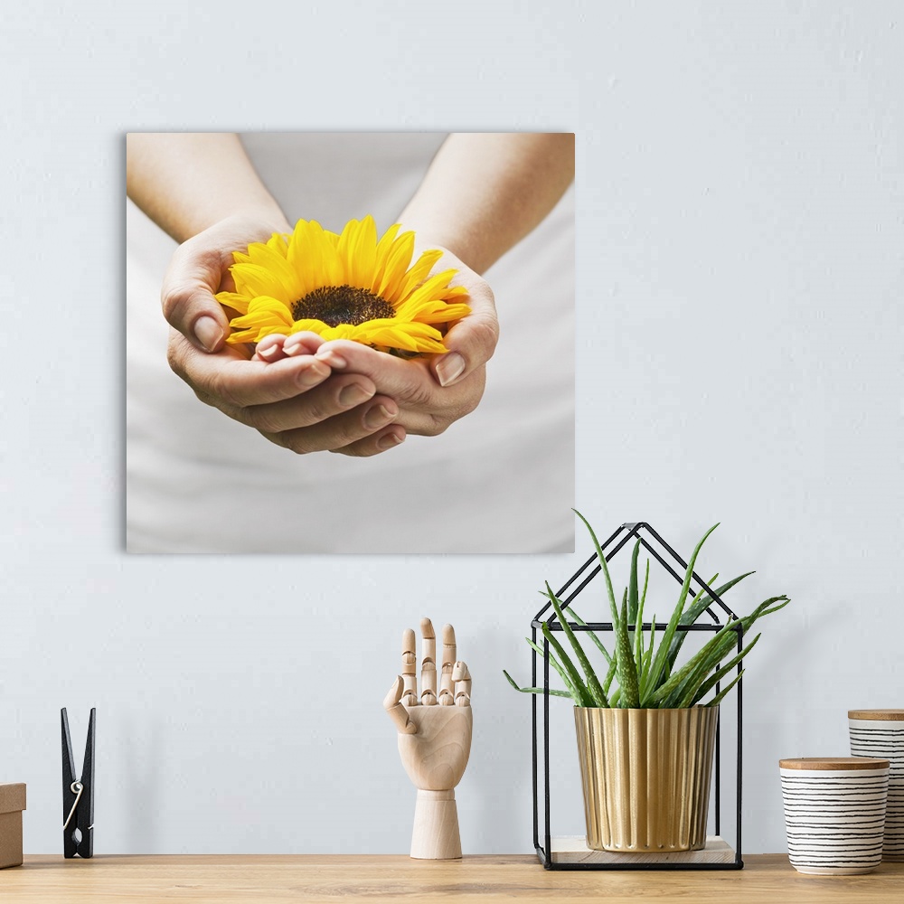 A bohemian room featuring Woman holding a sunflower bloom in cupped hands.
