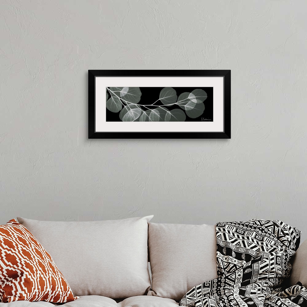 A bohemian room featuring An x-ray of a branch of eucalyptus leaves on a black background.