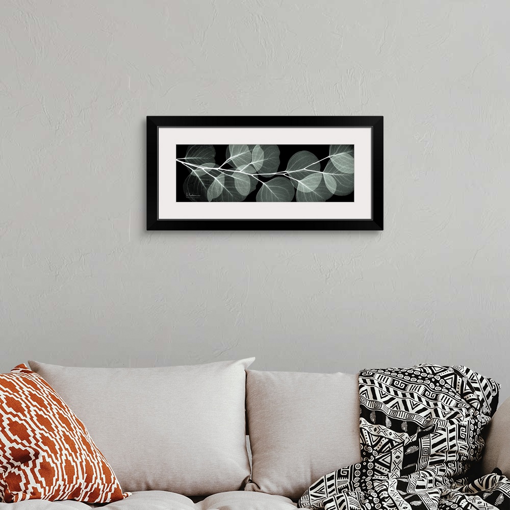 A bohemian room featuring An x-ray of a branch of eucalyptus leaves on a black background.