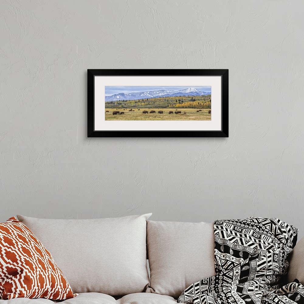 A bohemian room featuring A photograph of bison grazing on the plains below the Teton mountains.