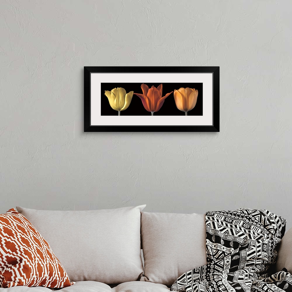 A bohemian room featuring A photo of three tulips in yellow, red and orange.