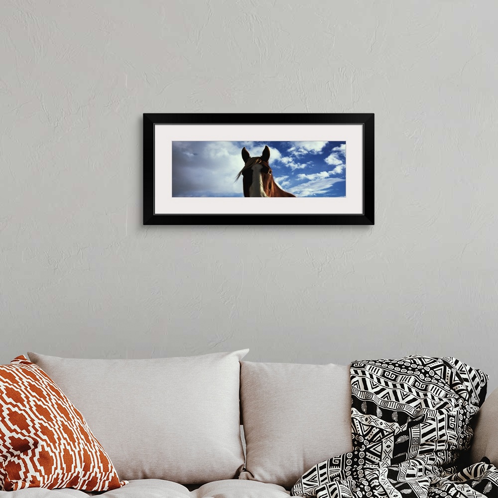 A bohemian room featuring Close-up of a horse, Montana