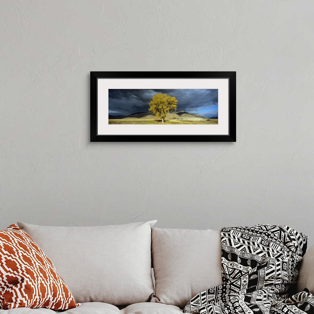 A bohemian room featuring Clouds over a tree with a mountain range in the background, Highway 28, Montana