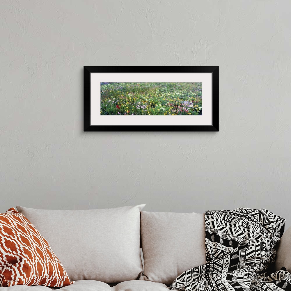 A bohemian room featuring Landscape, oversized photograph of a field of tall grasses and various wildflowers in Grand Teton...