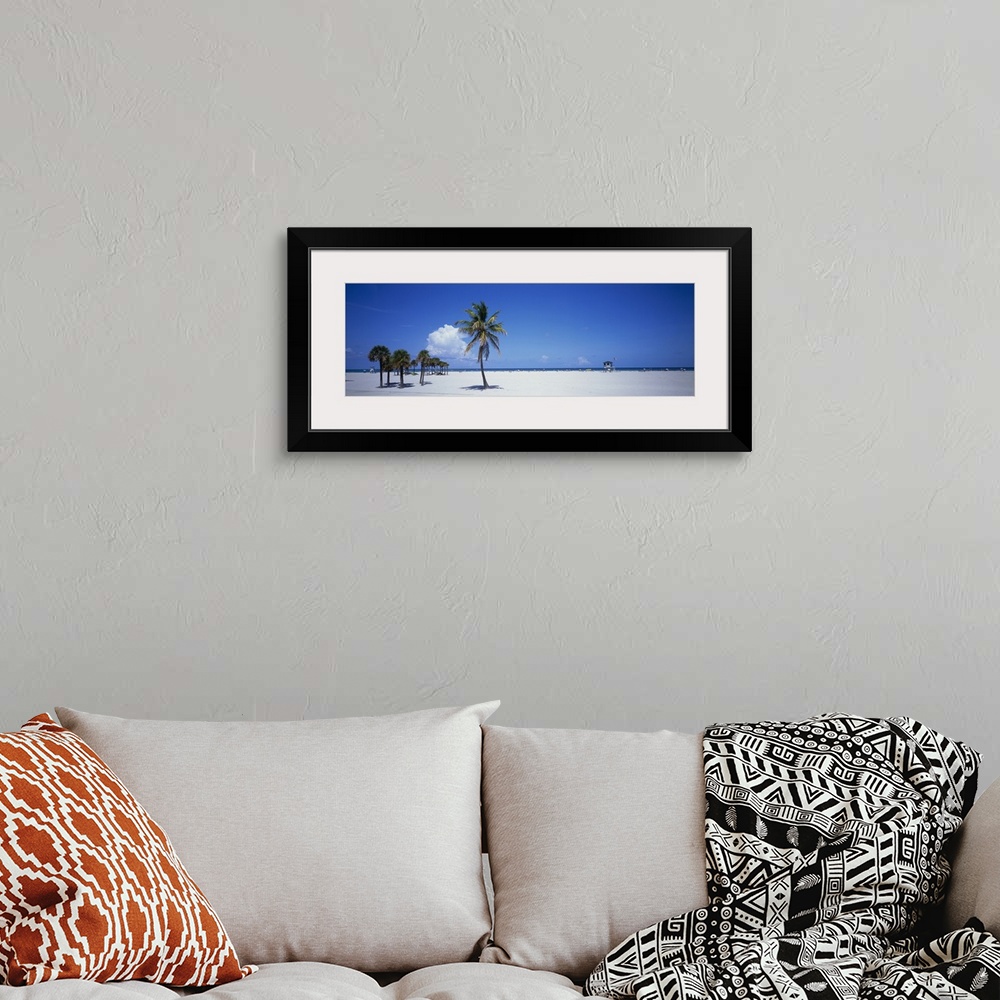 A bohemian room featuring Panoramic photograph of beach with palm trees.
