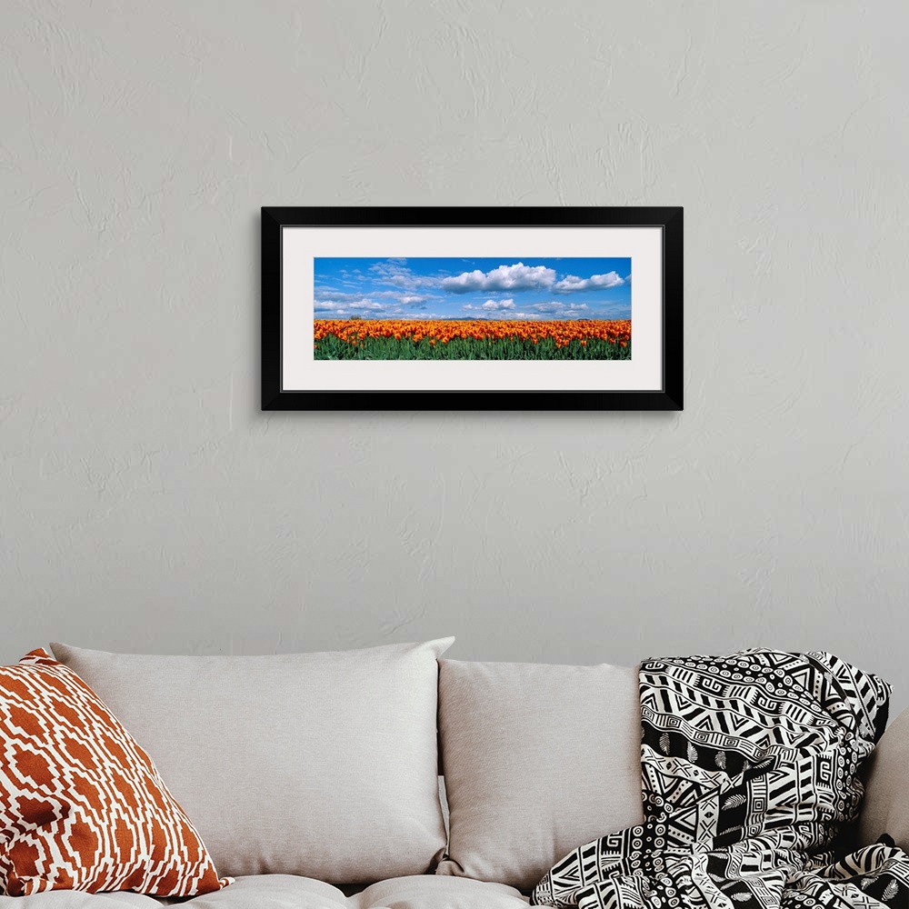 A bohemian room featuring Panoramic photograph of tulip meadow with a cloudy sky above.