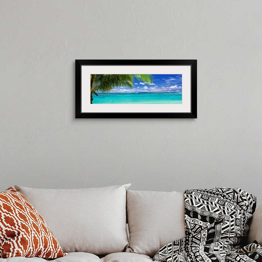 A bohemian room featuring Panoramic photograph of a large palm tree waving over crystal clear ocean water under a bright bl...