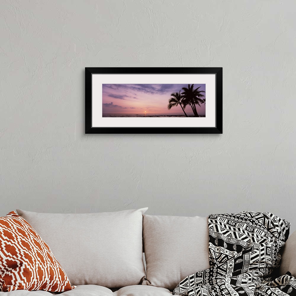 A bohemian room featuring Palm trees on the beach, Keauhou, South Kona, Hawaii County, Hawaii, USA