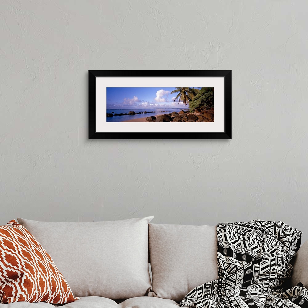 A bohemian room featuring Panoramic photograph displays a sandy beach filled with large rocks and palm trees on a sunny day...