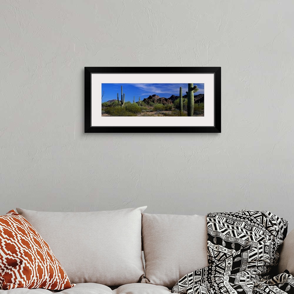 A bohemian room featuring Panoramic photograph of cactus in an Arizona desert with mountainous terrain in the background.