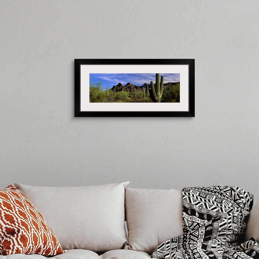 A bohemian room featuring Panoramic photograph of desert with cacti and bushes with mountains in the distance under a cloud...