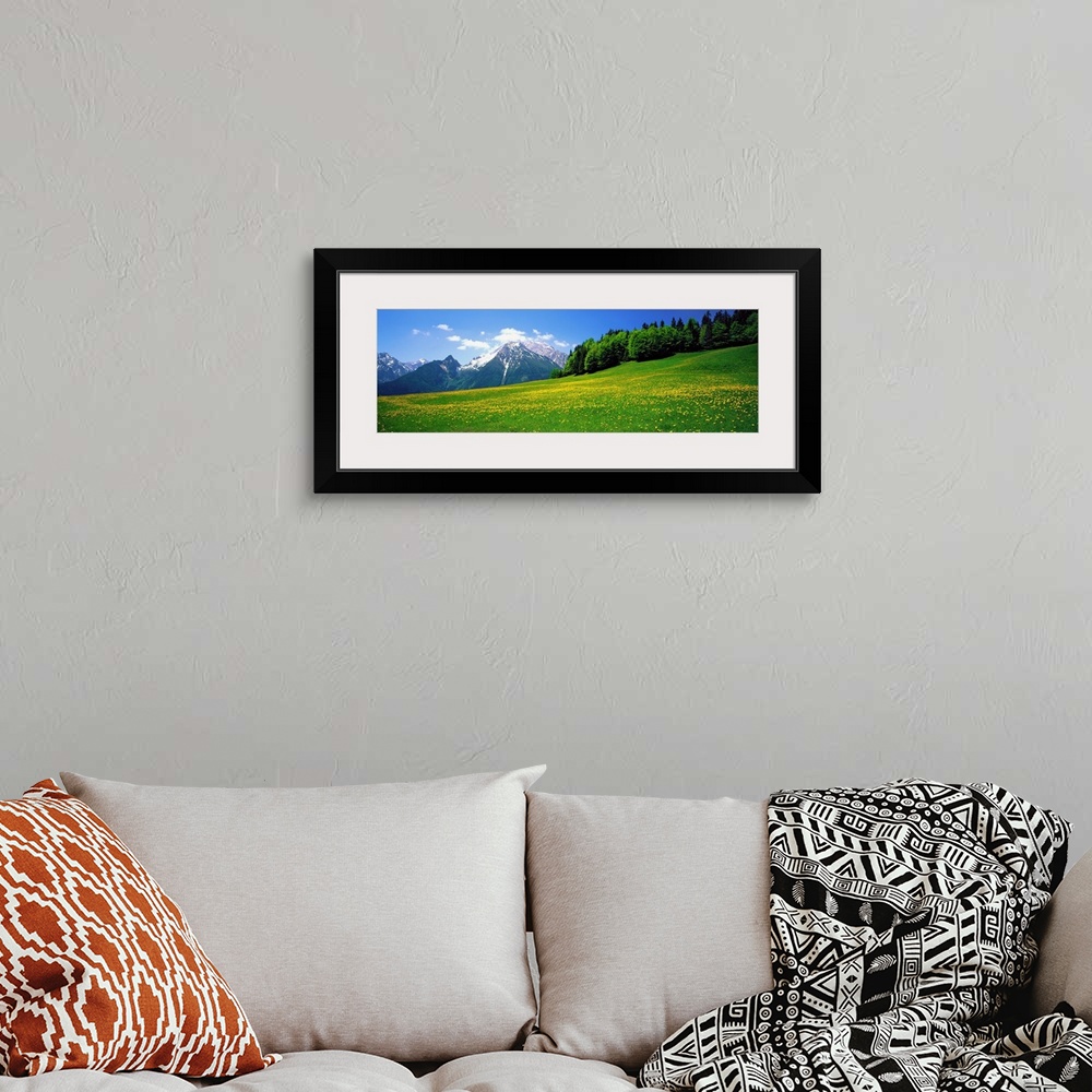 A bohemian room featuring Horizontal image on canvas of a field of wildflowers with rugged mountains and a forest in the di...