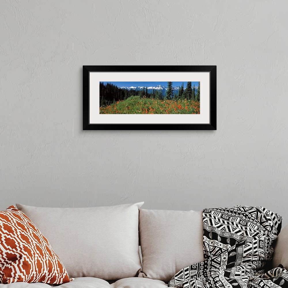 A bohemian room featuring Begbie Mountain Revelstoke National Park BC Canada