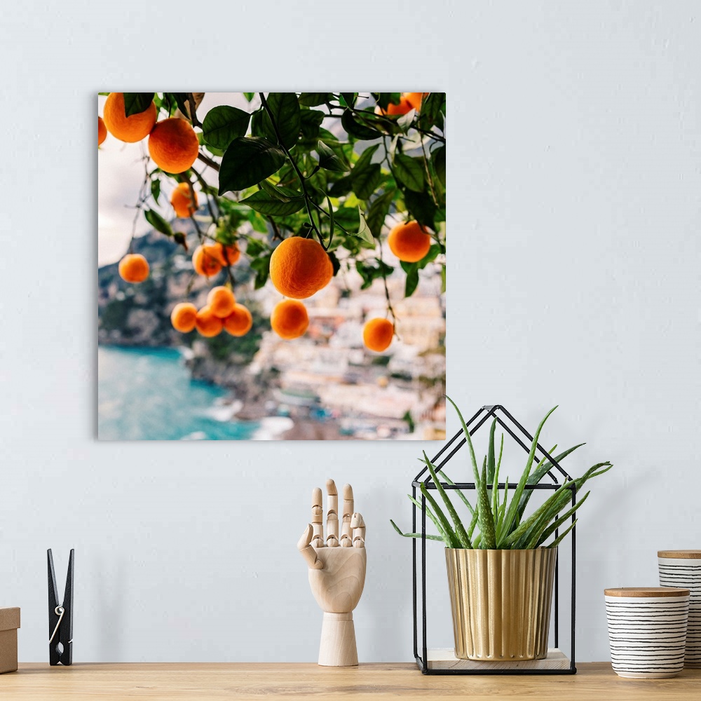 A bohemian room featuring Amalfi Coast Oranges