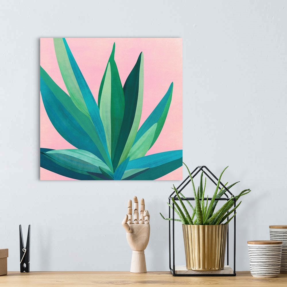A bohemian room featuring Colorful Agave 4