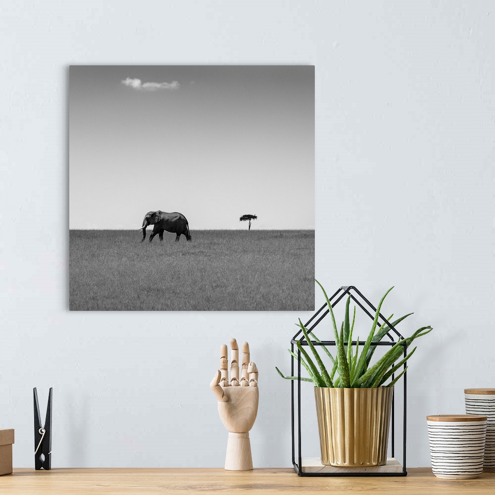 A bohemian room featuring Elephant And The Friendly Cloud