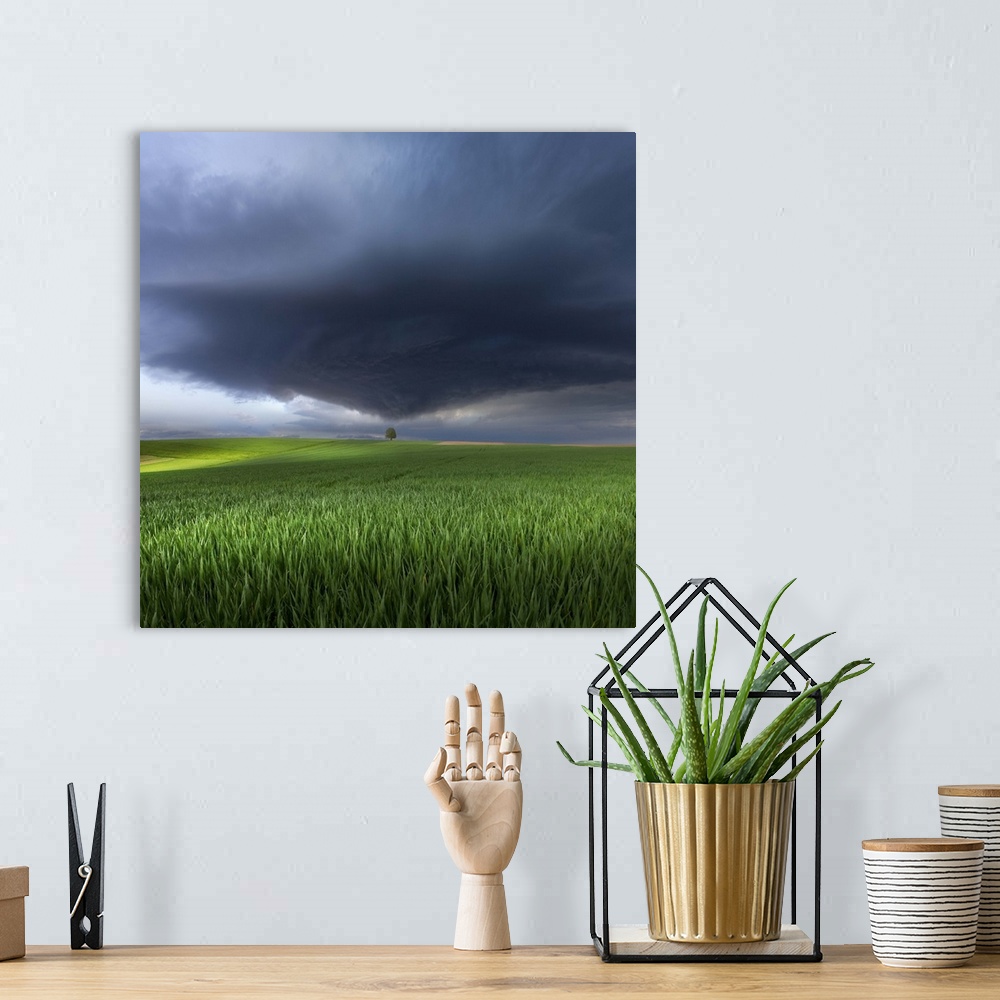 A bohemian room featuring A dark storm cloud heading towards a tree in a green field in Germany.