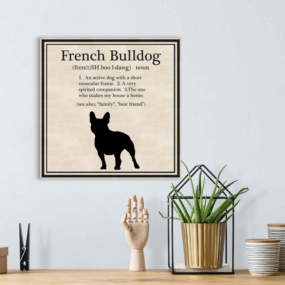 A bohemian room featuring French Bulldog