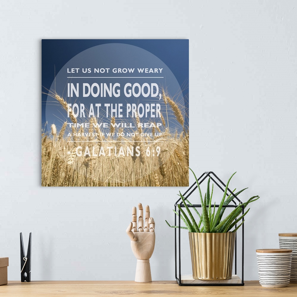 A bohemian room featuring Image Of A Grain Field Under A Blue Sky With A Scripture From Galatians 6:9