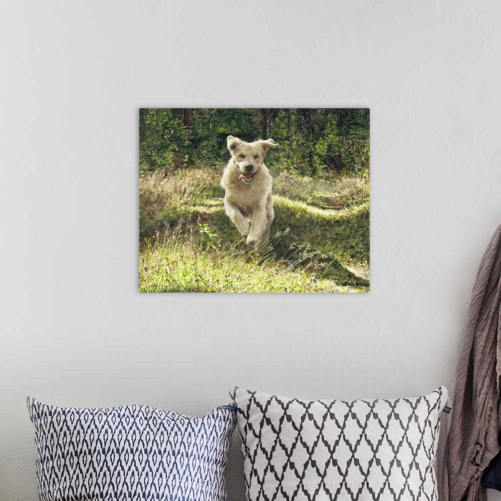 A bohemian room featuring Horizontal image of a lively dog running through the woods.