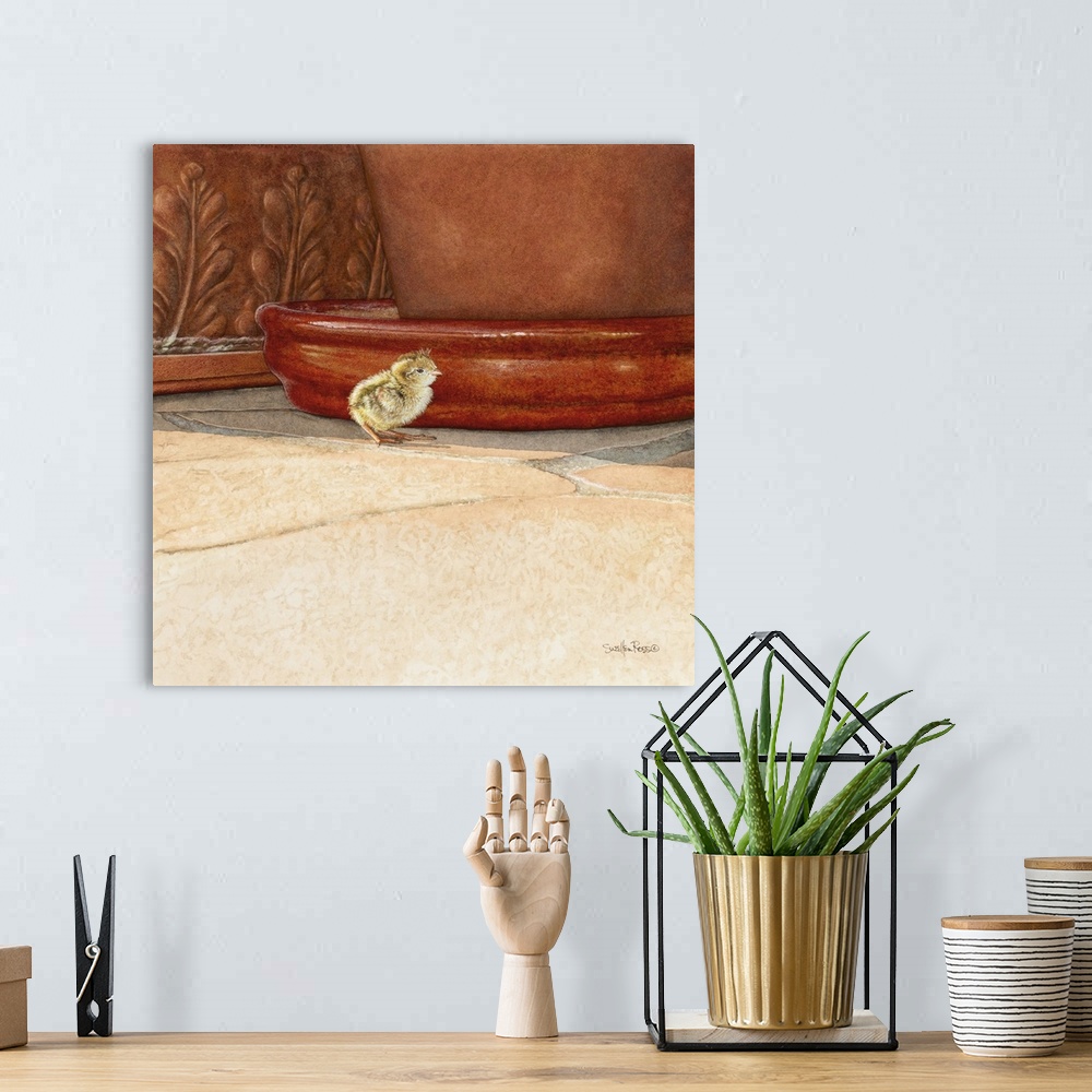 A bohemian room featuring A square image of a little baby bird walking next to a potted plant.