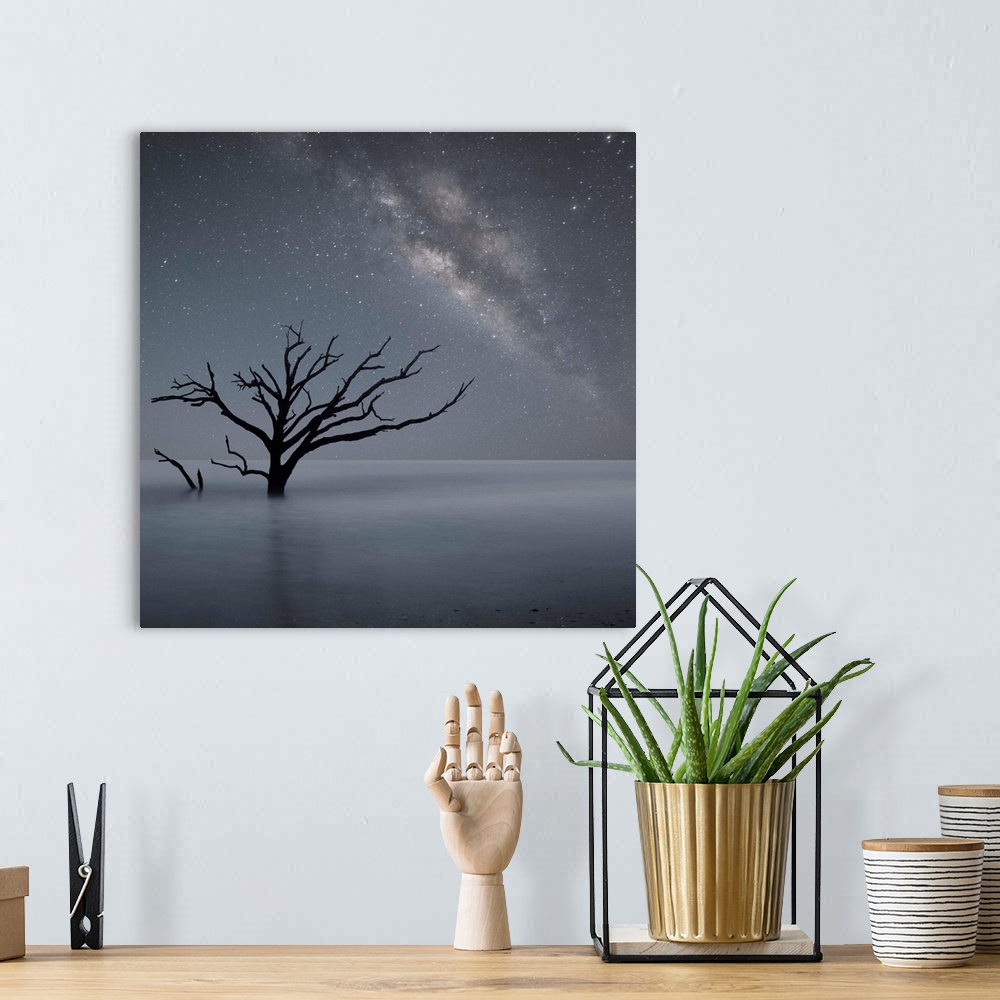 A bohemian room featuring An artistic photograph of a lone dead tree standing in shallow water under starry night sky.