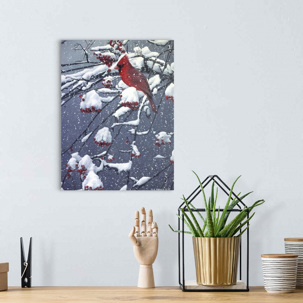 A bohemian room featuring A male cardinal on a snow covered tree limb.