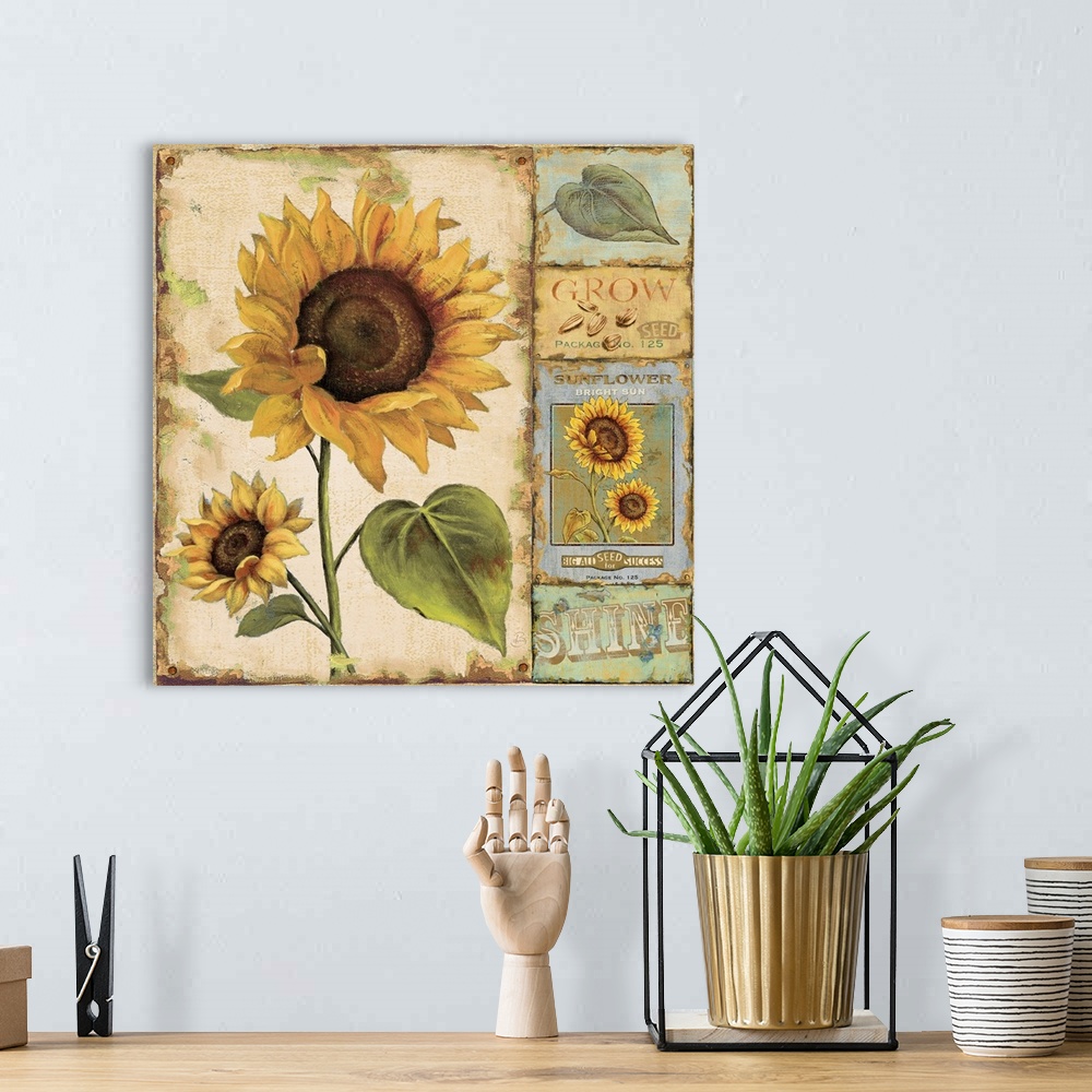A bohemian room featuring Retro wall docor featuring vintage illustrations of sunflowers, leaves, seeds, and seed packets.