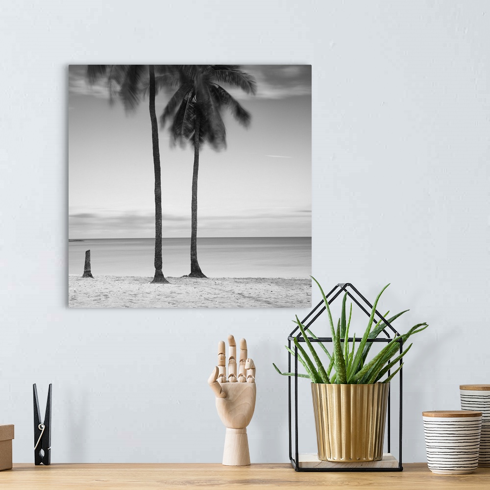 A bohemian room featuring An artistic black and white photograph of palm trees on a tropical beach.