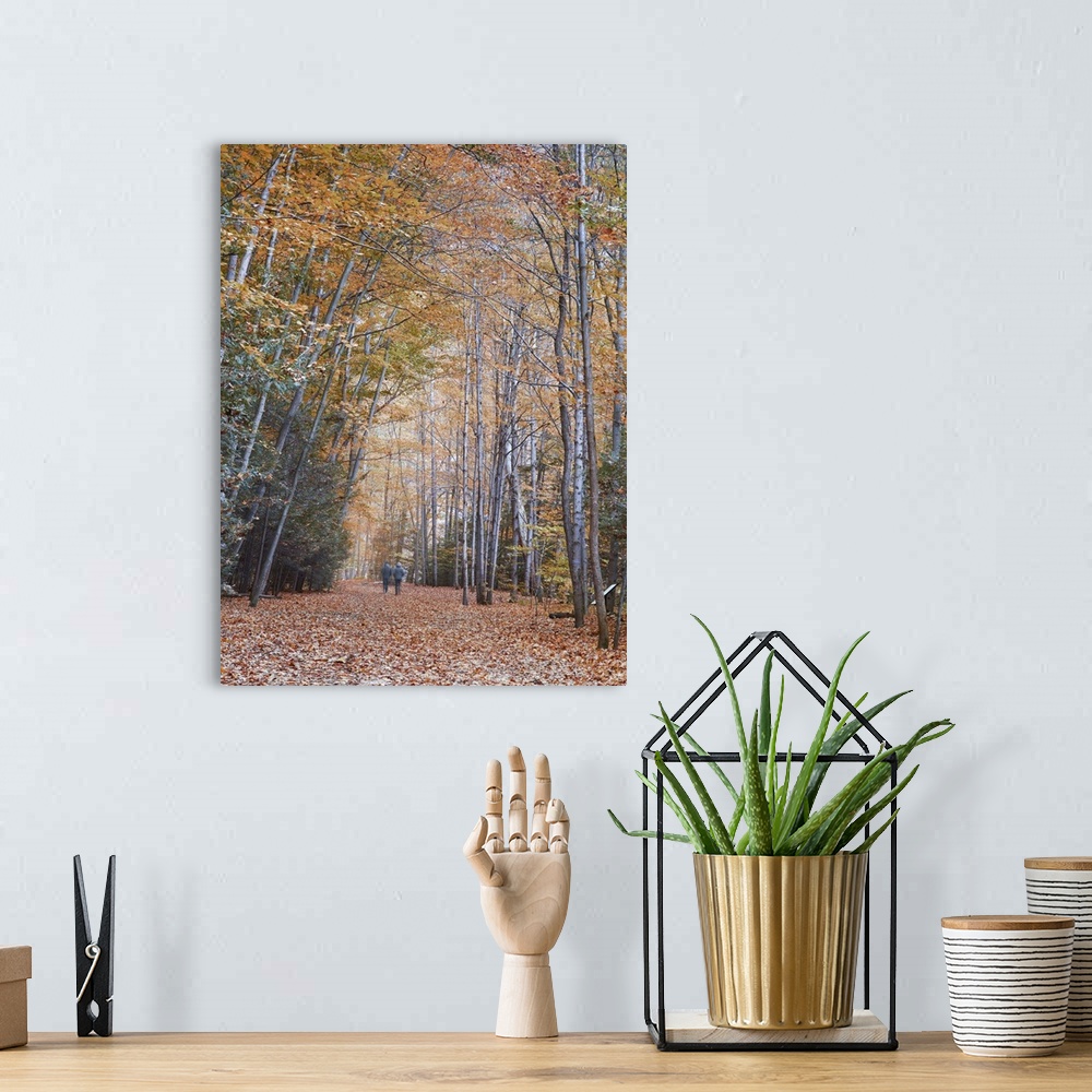 A bohemian room featuring An artistic photograph of a road leading through a forest in fall foliage with two people walking...
