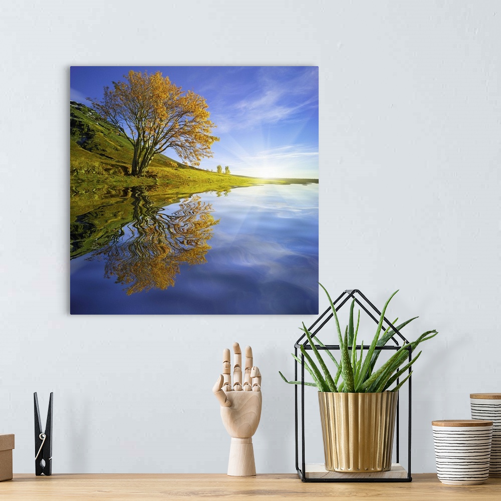 A bohemian room featuring An artistic photograph of a tree in fall foliage leaning over a lake casting a perfect reflection.