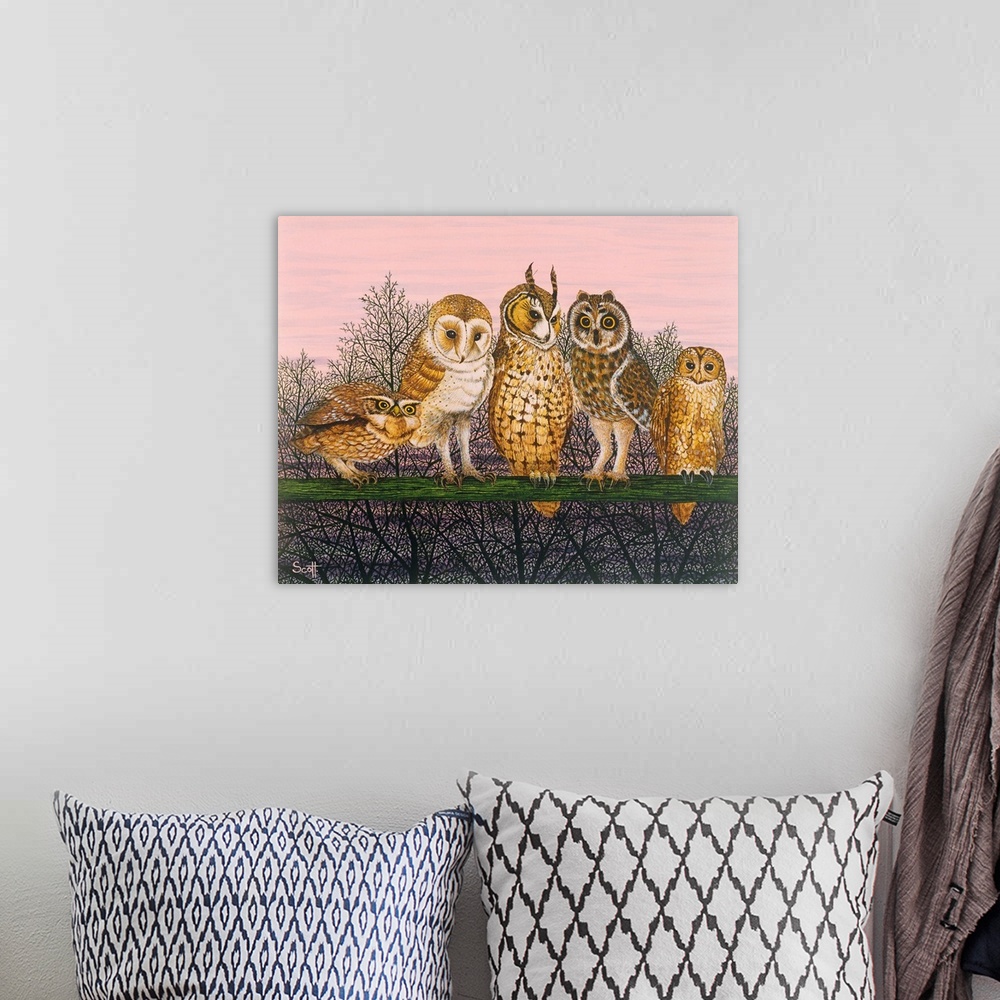 A bohemian room featuring Contemporary painting of five different species of owl.