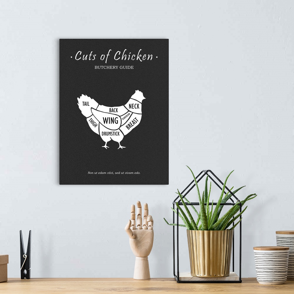 A bohemian room featuring Butchery Chicken
