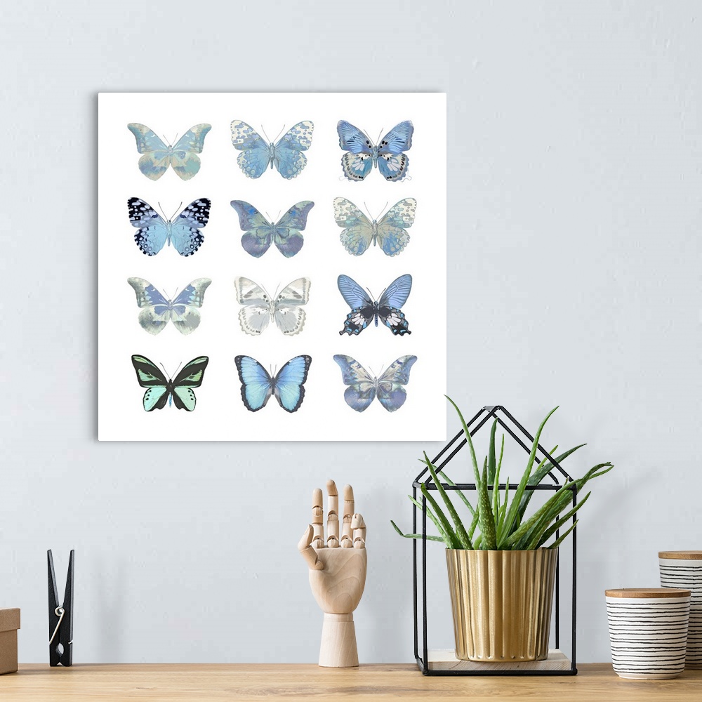 A bohemian room featuring Square decor with nine silver and powder blue butterflies in three rows on a solid white background.