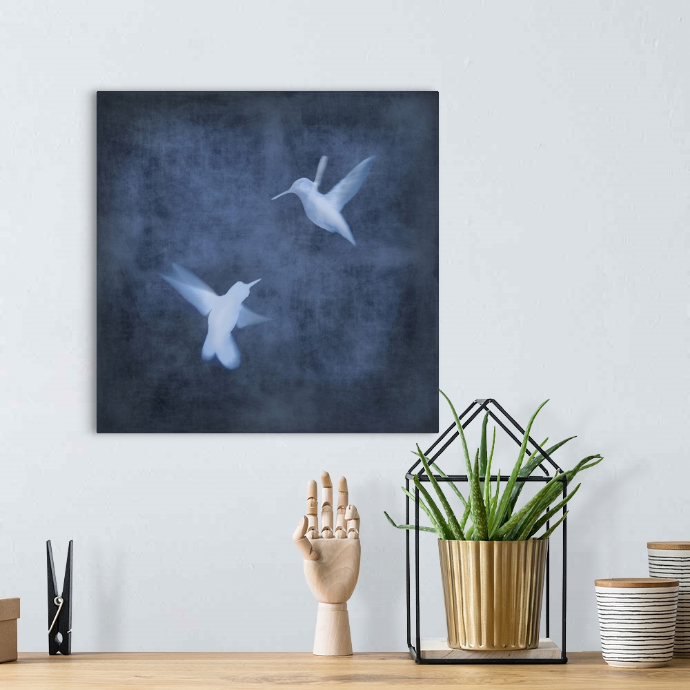 A bohemian room featuring Square decor with two white silhouetted birds in flight on an indigo background.