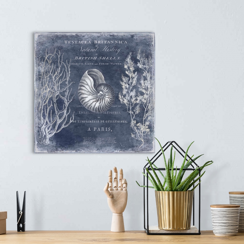 A bohemian room featuring Square beach themed decor with both English and French text in indigo and white.