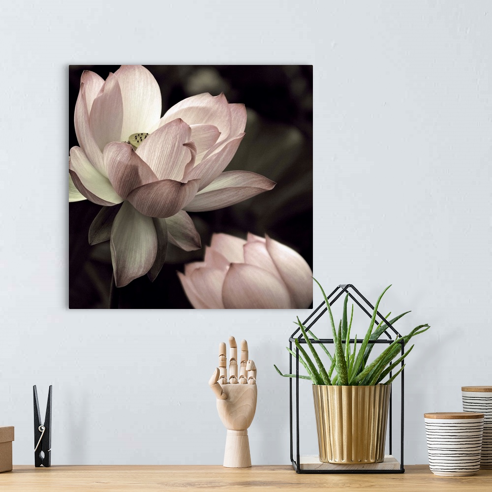 A bohemian room featuring Square photograph of two lotus flowers in muted pink, green, and white hues.