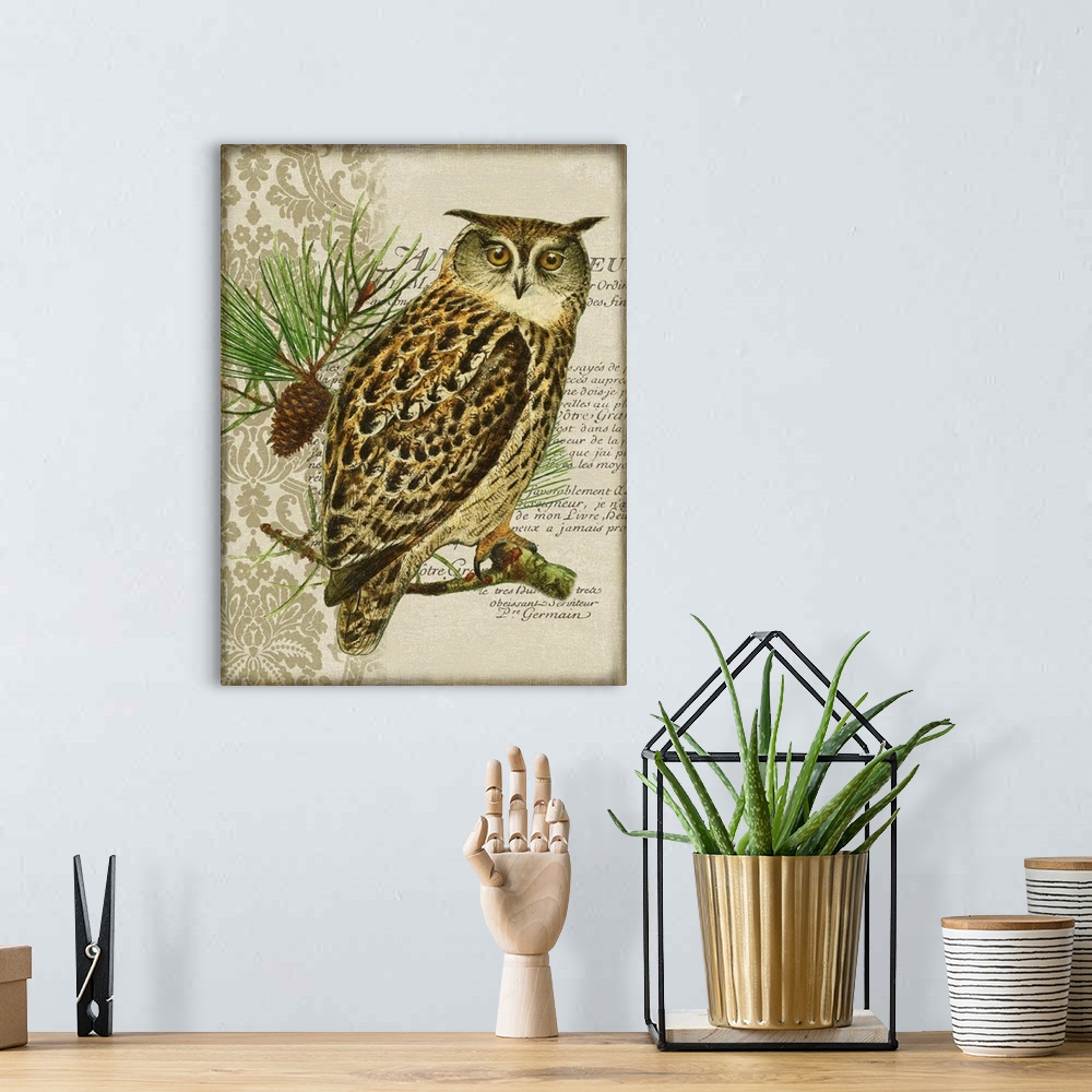 A bohemian room featuring Woodland Owl Motif I
