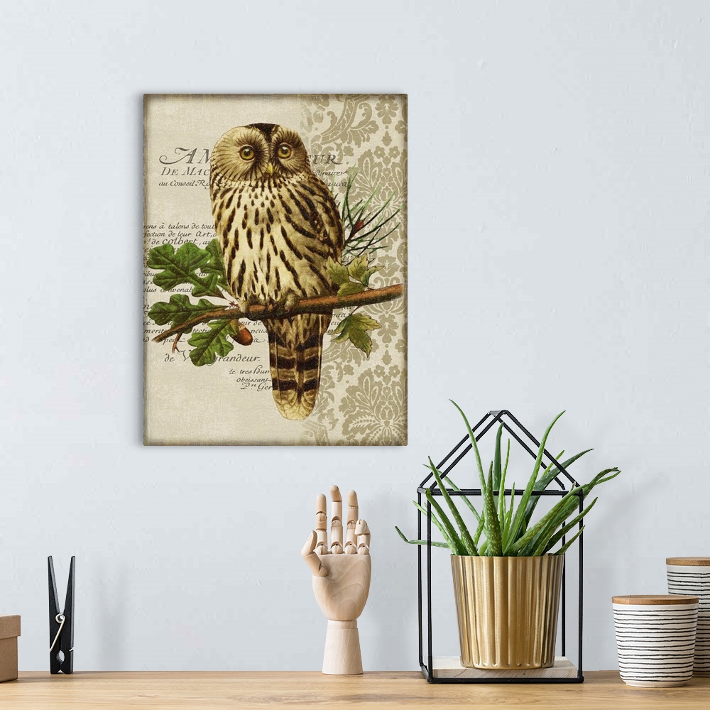 A bohemian room featuring Woodland Owl Motif II